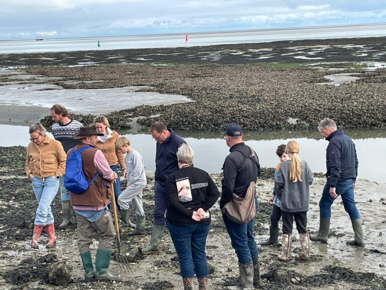 Wadexcursie de Lepelaar — Natuur op Vlieland