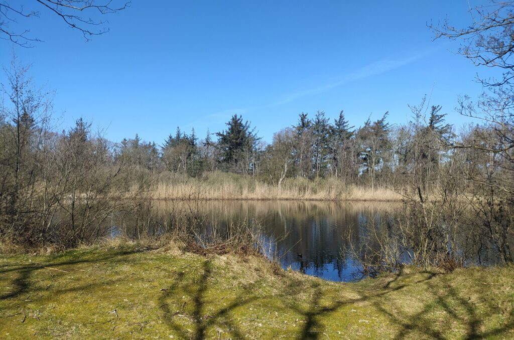 Nieuwe Kooi excursie De Lepelaar in Vlieland