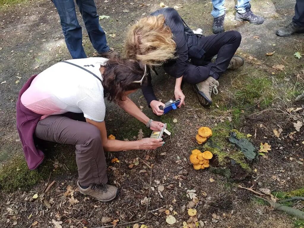 Paddenstoelenexcursie met Sjoukje in Vlieland