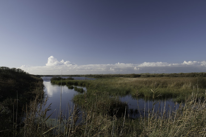 Kroon’s Polder Excursie — Natuur op Vlieland