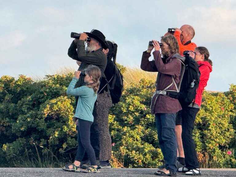 Vogelexpeditie in Kroon’s Polders — Natuur op Vlieland